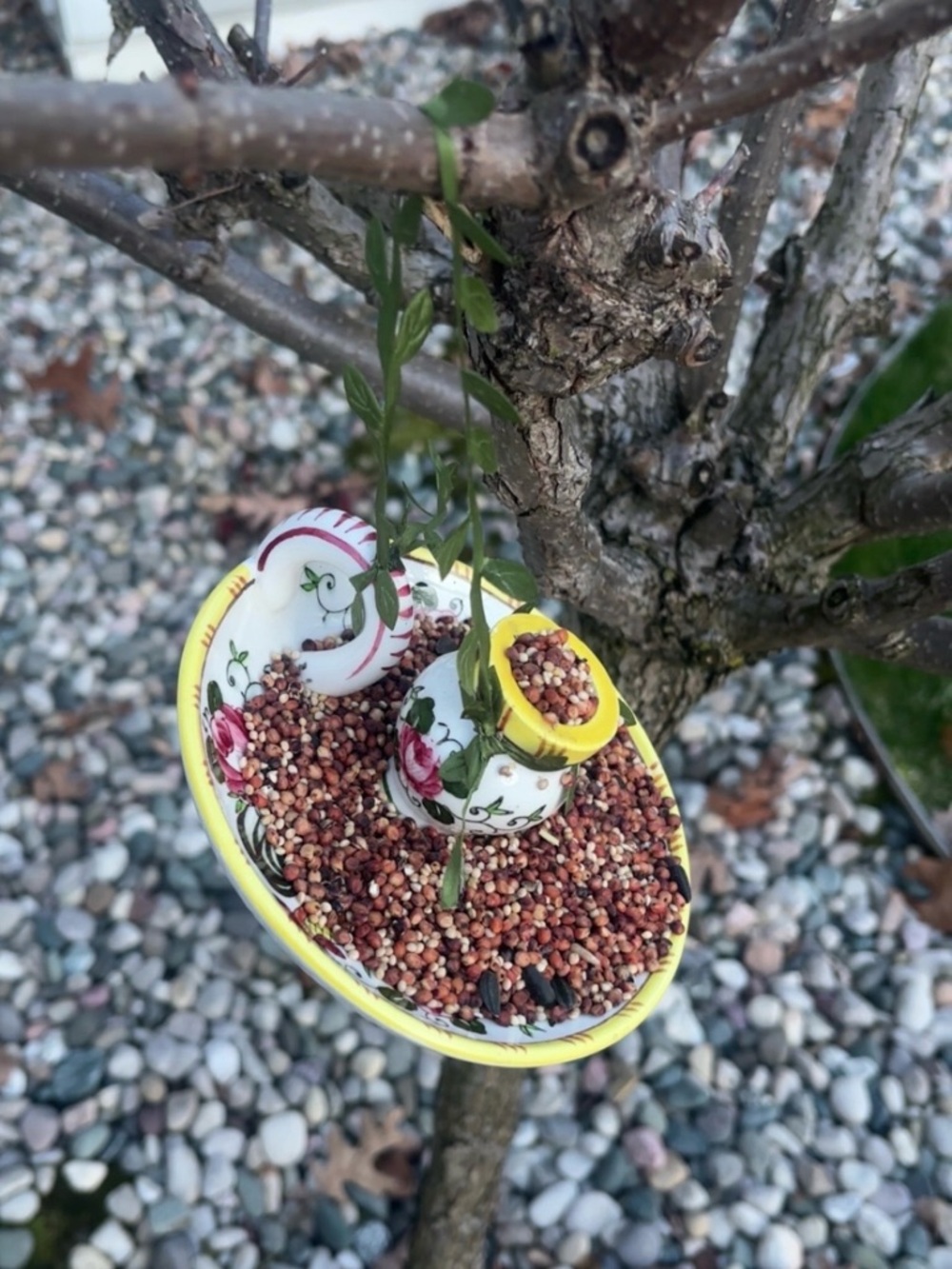 Handmade Teacup Bird Feeder